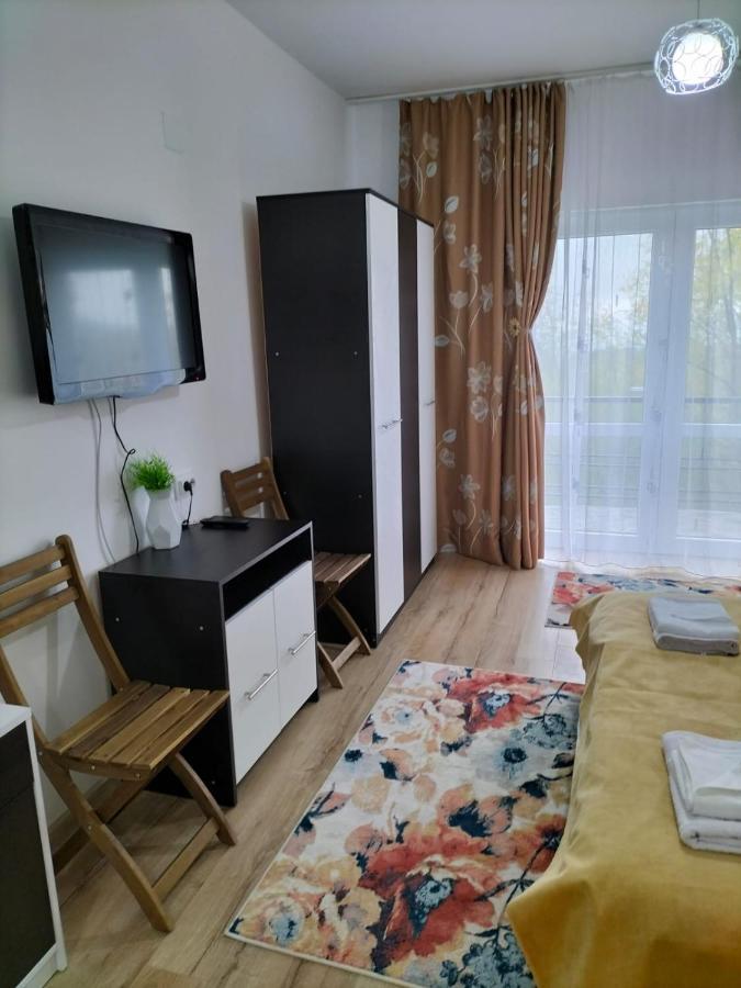 Hotel Conacul Doamnei Nucsoara Esterno foto