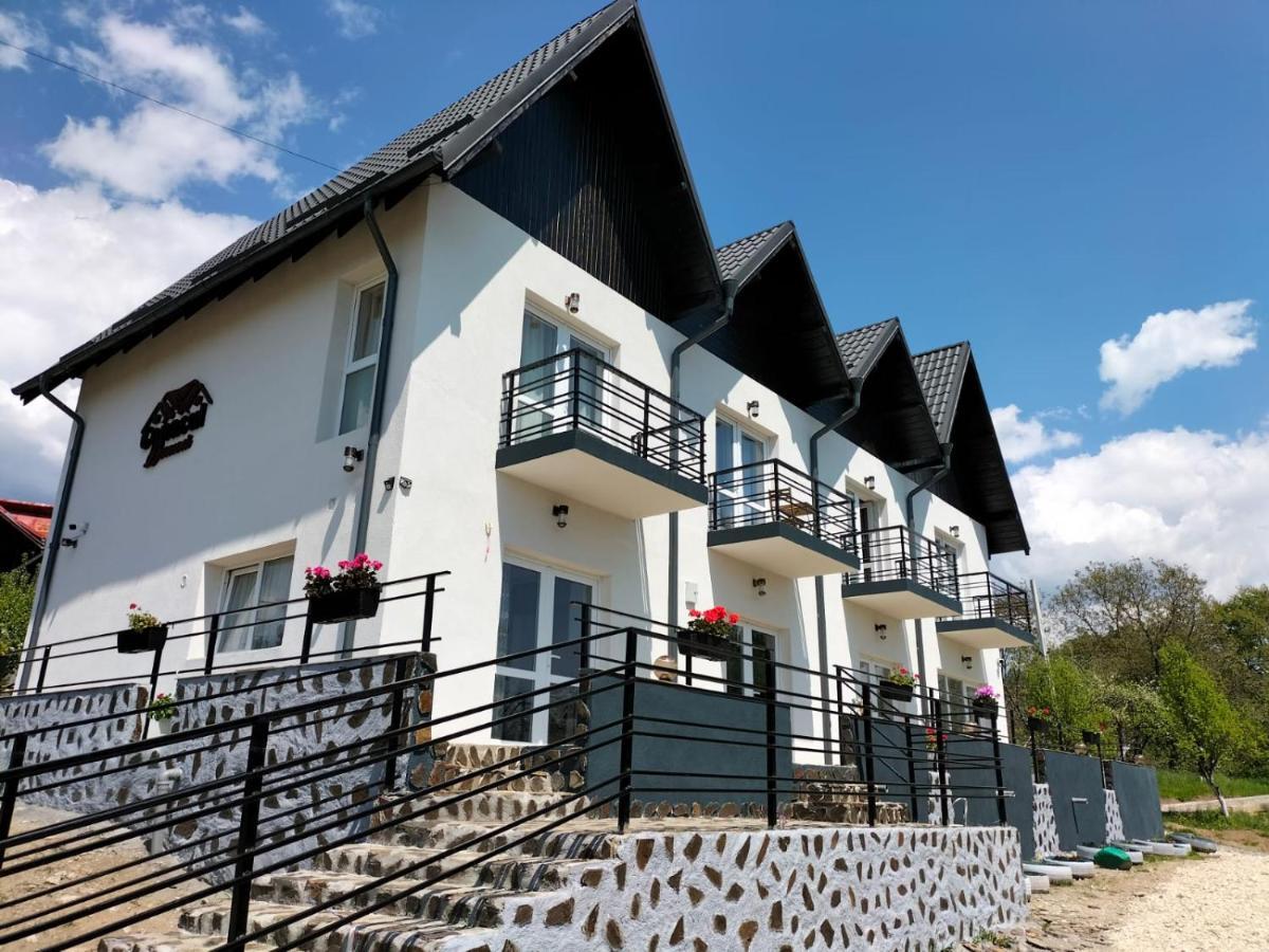 Hotel Conacul Doamnei Nucsoara Esterno foto